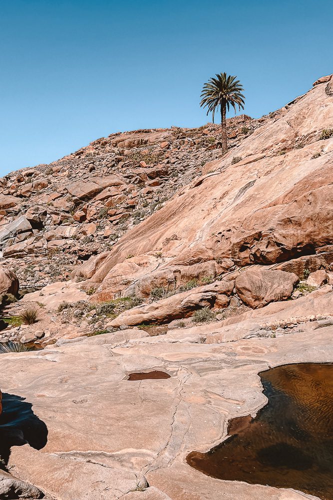 Little oasis in Arco de las Penitas by Dancing the Earth