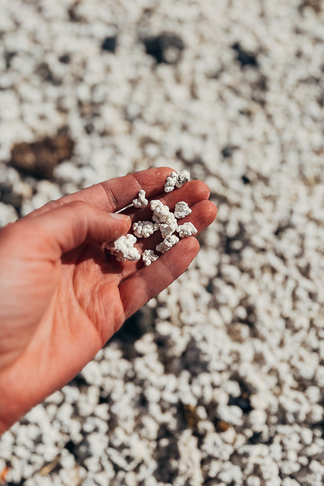 Corralejo, popcorn beach, by Dancing the Earth