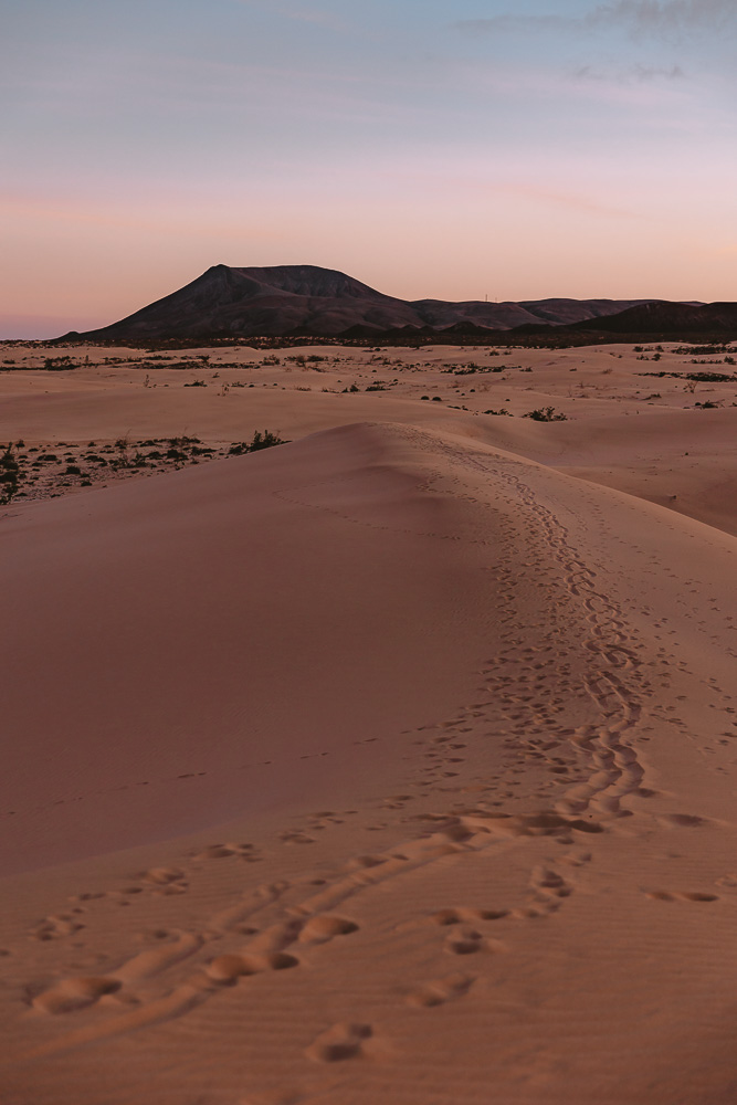 Blue hour on the Dunas de Corralejo, by Dancing the Earth