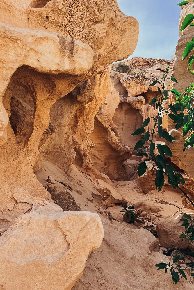 Fuerteventura travel guide, Barranco Encantado by Dancing the Earth