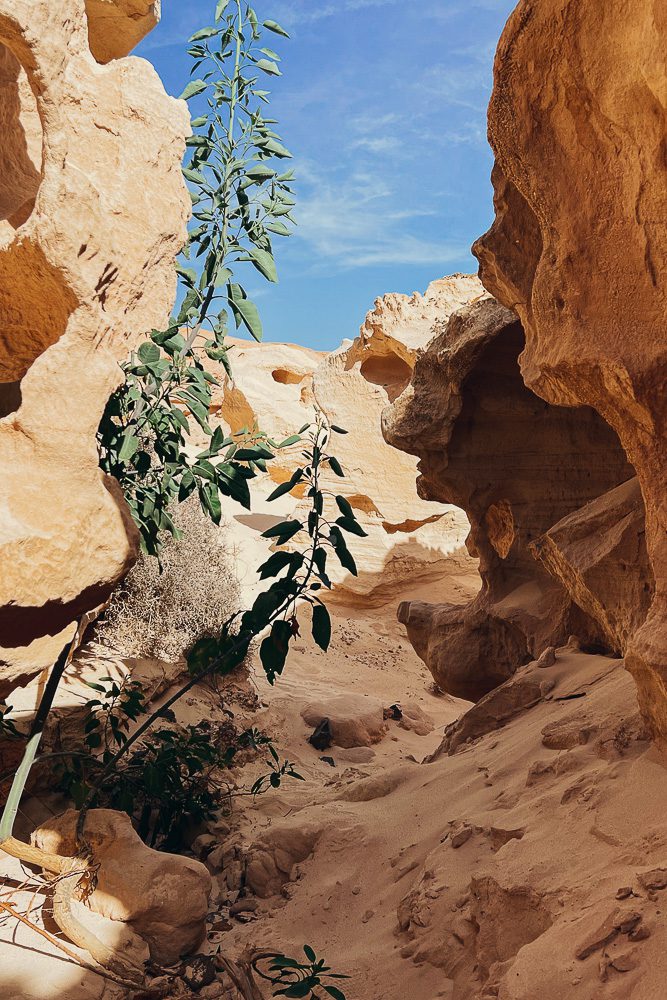 Fuerteventura travel guide, Barranco de los Enamorados by Dancing the Earth