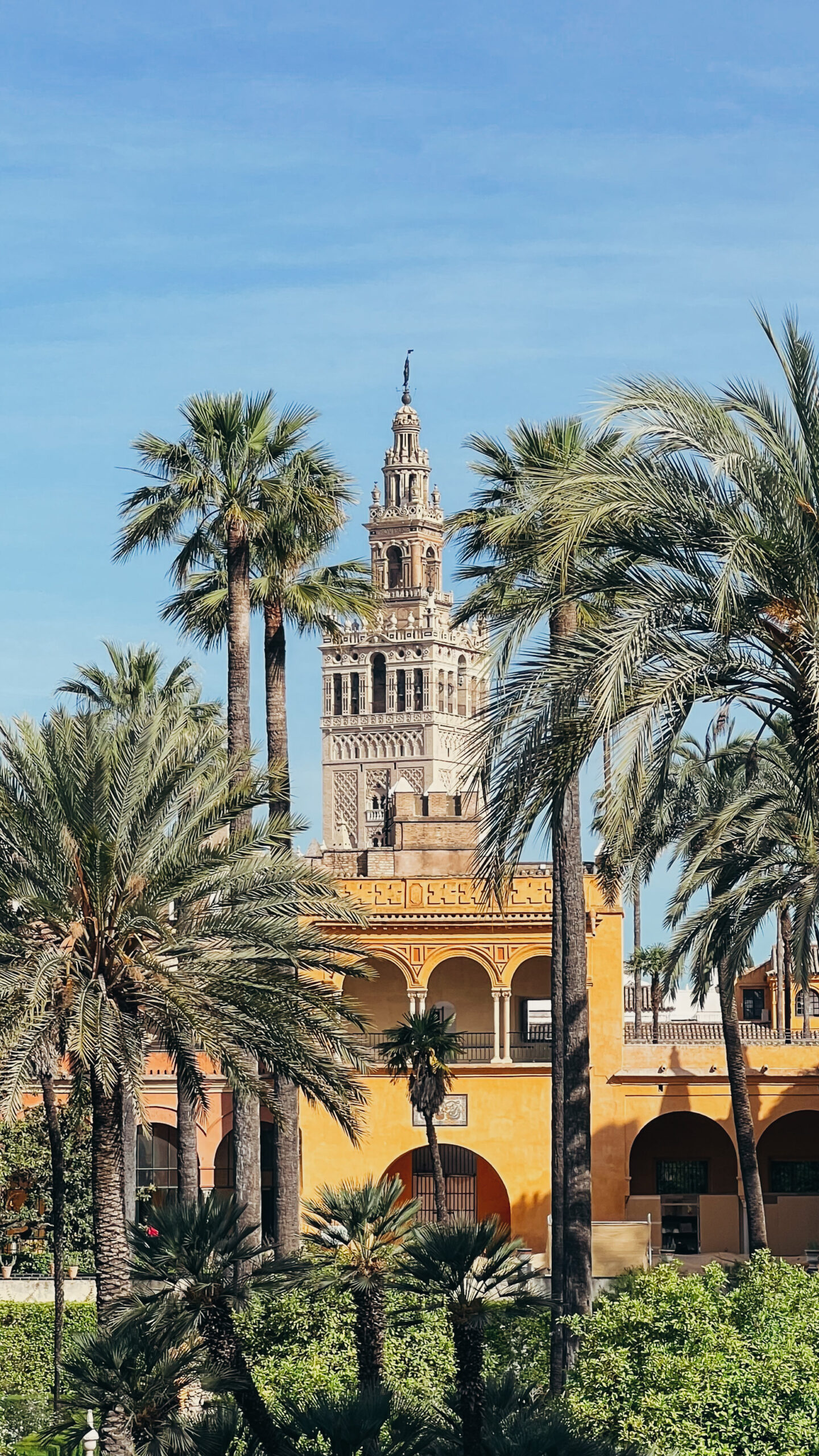 Seville, La Giralda from the gardens of the Real Alcazar, by Dancing the Earth