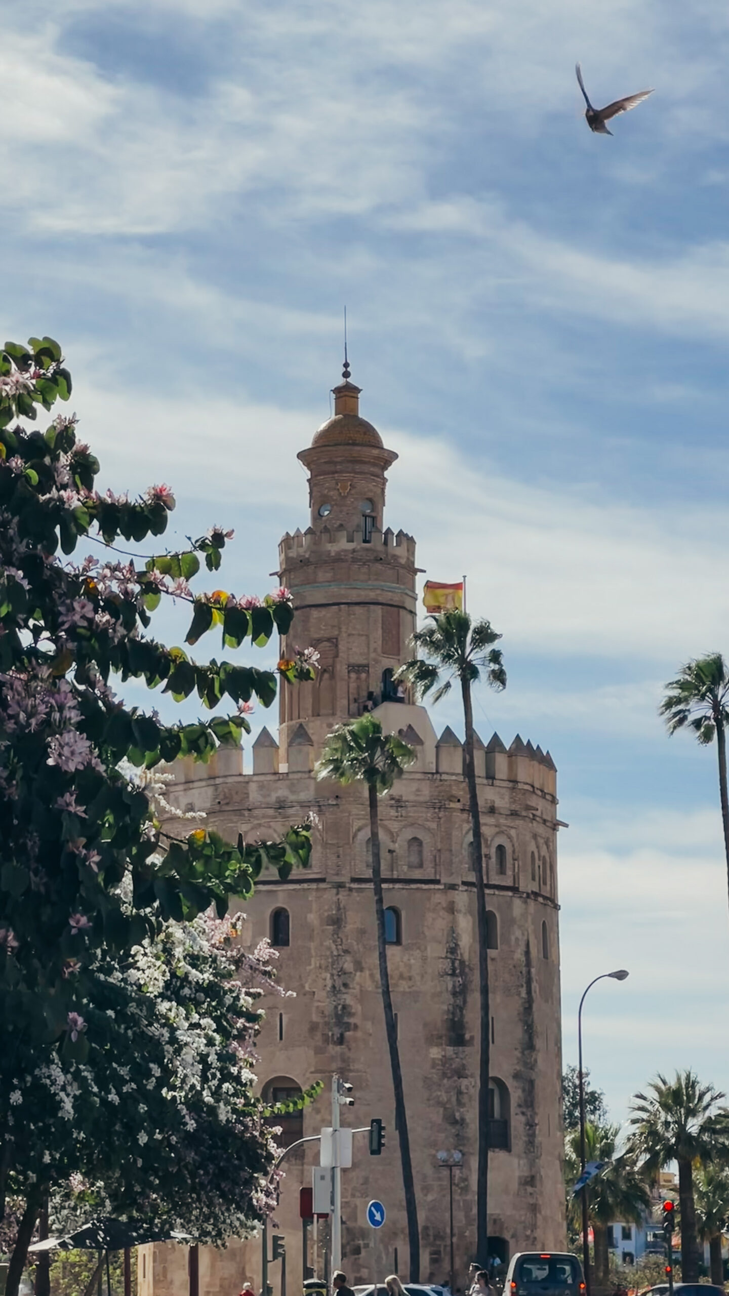 Seville, Torre del Oro with flowers, by Dancing the Earth