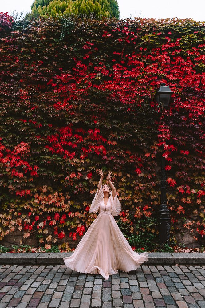 Autumn in Paris, Ivy wall in Montmartre, by Dancing the Earth