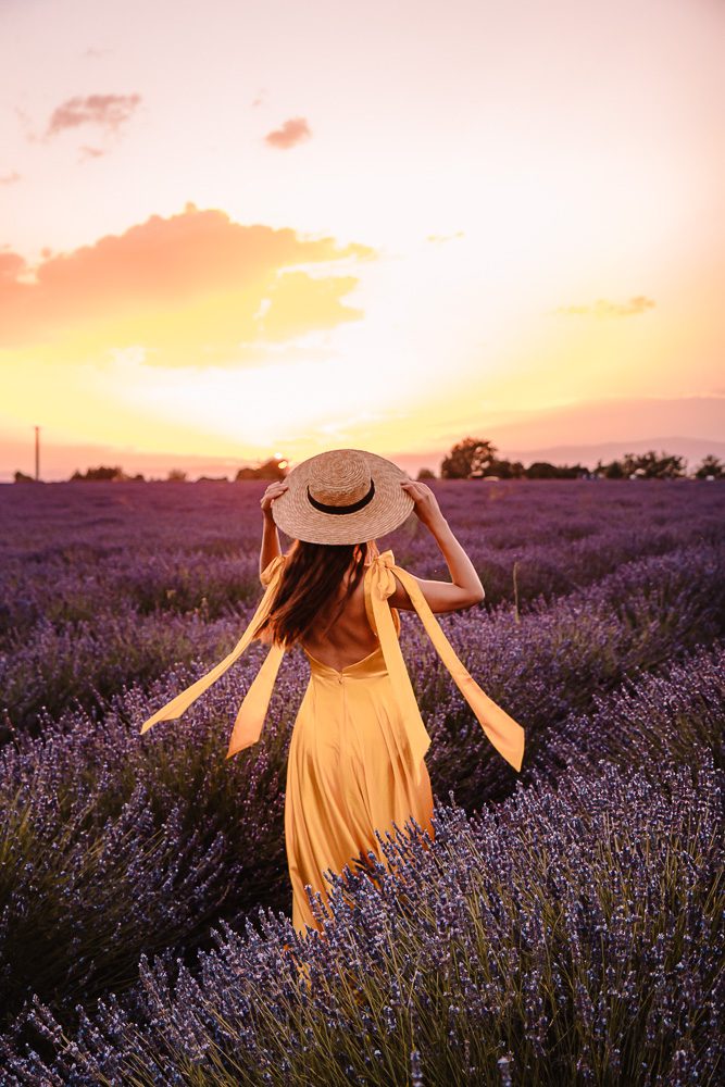 Provence Itinerary, lavender fields of Valensole at sunset, by Dancing the Earth