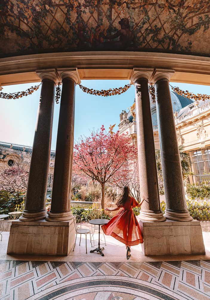 Paris Spring Jardin du Petit Palais cherry blossoms, by Dancing the Earth