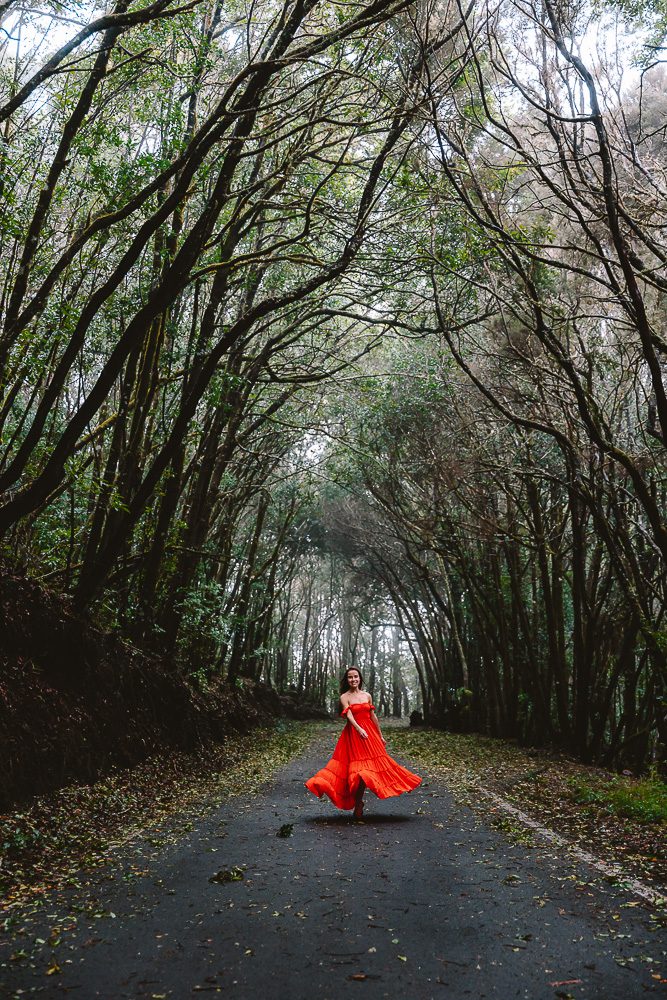 La Gomera Garajonay National Park, road near Piedra del Gallo, by Dancing the Earth